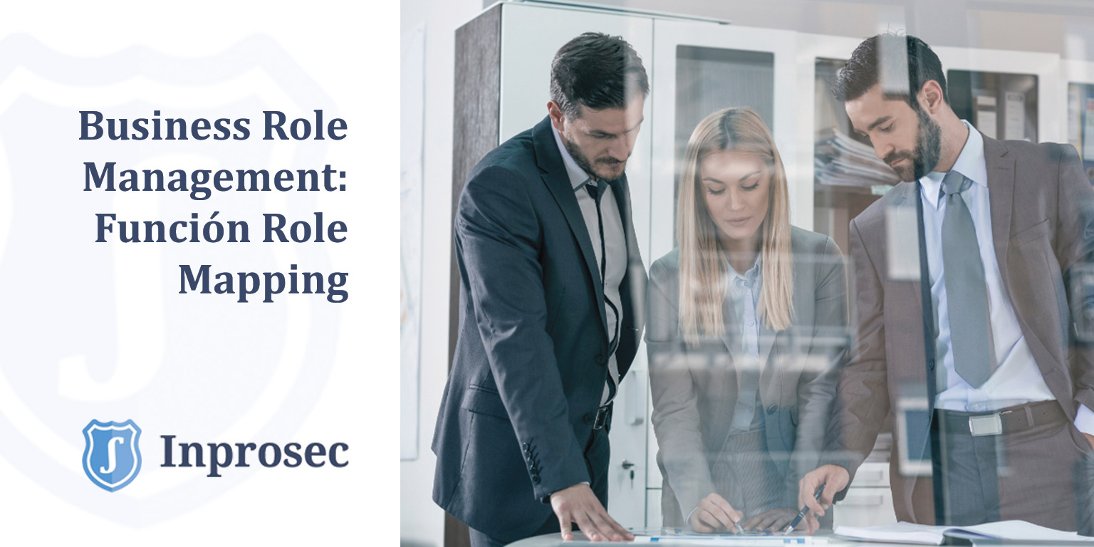 Business Role Management (BRM): Role Mapping Function - Inprosec